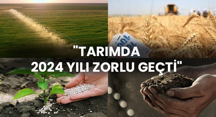 Tarımda 2024 Yılı Zorlu Geçti