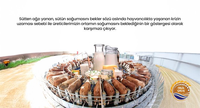 SÜTTEN AĞZI YANAN, SÜTÜN SOĞUMASINI BEKLER !