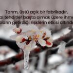 İKLİMLER DEĞİŞİKLİĞİNDE TARIM TEHLİKEDE Mİ?