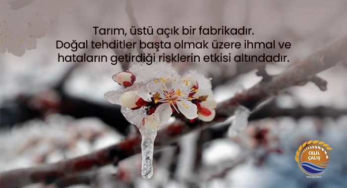 İKLİMLER DEĞİŞİKLİĞİNDE TARIM TEHLİKEDE Mİ?