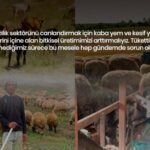 HAYVANCILIĞIN EN ÖNEMLİ SORUNU YEM DEĞİL ÇOBAN OLDU