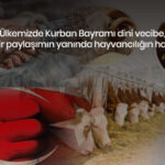 KURBAN AREFESİNDE HAYVANCILIK ZORDA