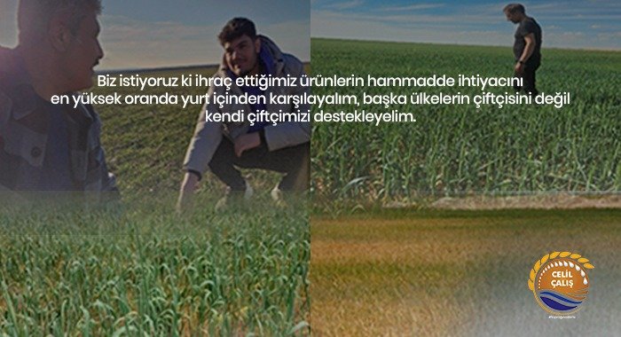 Danesi Dolmadan Kuruyan Başakların Arkasındayız