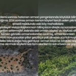 CİĞERLERİMİZ YANARKEN ORMAN KÖYÜ VE KÖYLÜSÜNÜN DEĞERİ