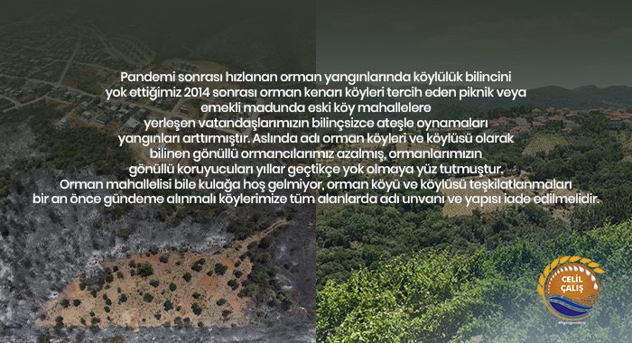 CİĞERLERİMİZ YANARKEN ORMAN KÖYÜ VE KÖYLÜSÜNÜN DEĞERİ