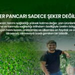 ŞEKER PANCARI SADECE ŞEKER DEĞİLDİR.