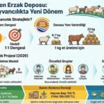 Koyun Türkün Orta Asya’dan Anadolu’ya Yürüyen Erzak Deposudur